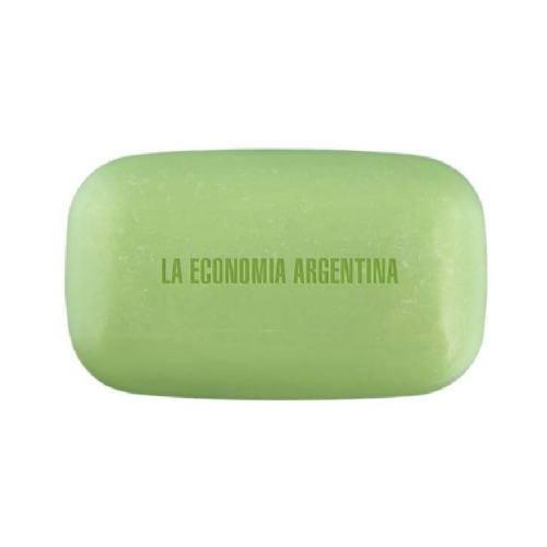 LA ECONOMÍA ARGENTINA/ Gerardo Naumann